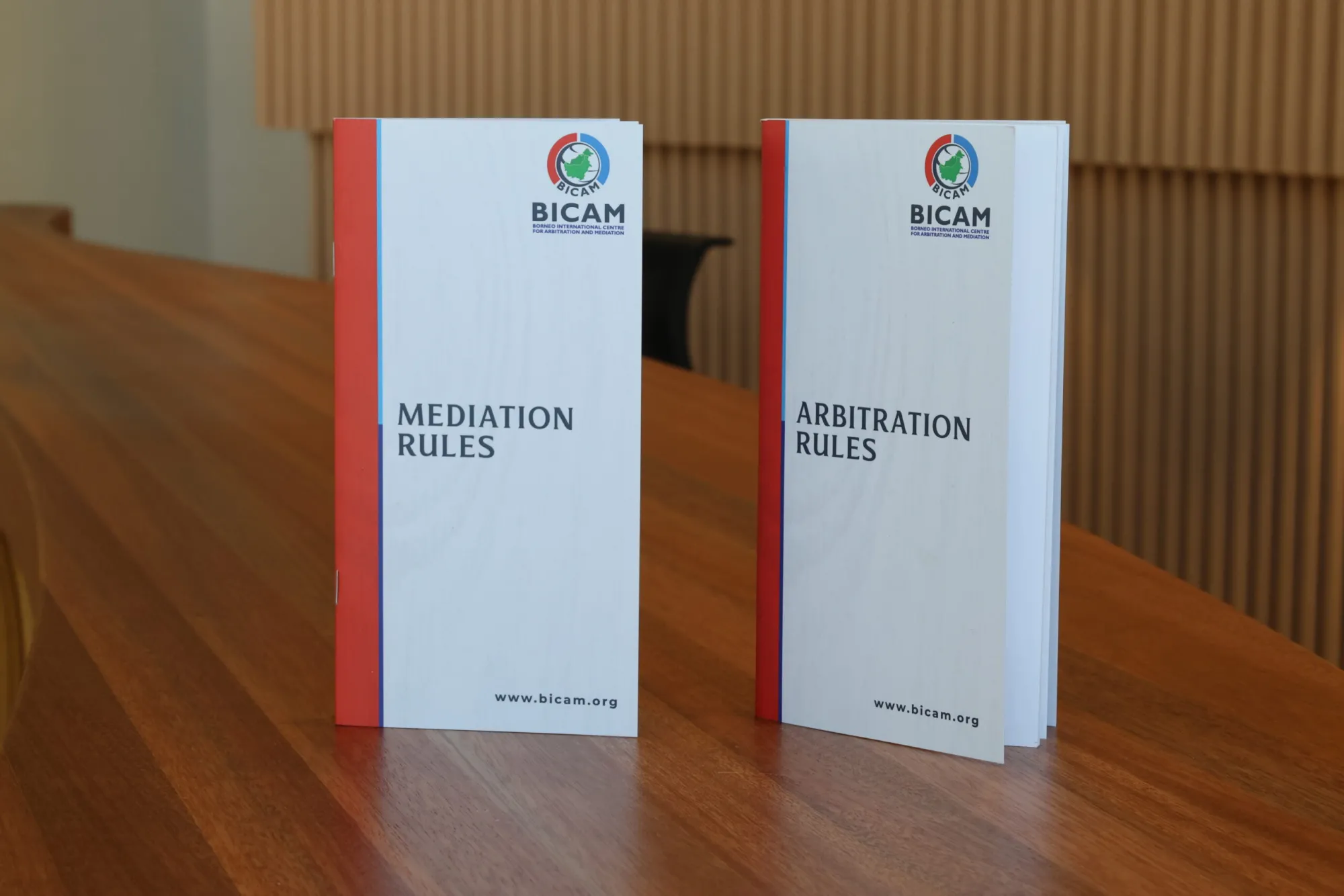 Photograph from BICAM's Launch and Conference, 3 of 107