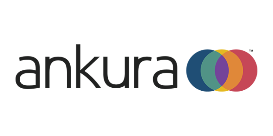 Ankura Consulting Group